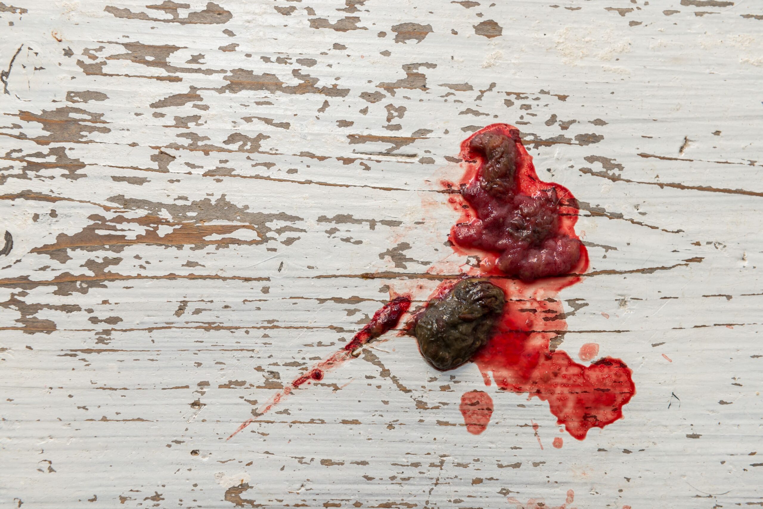 Blut im Hundekot: Wann Sie zum Tierarzt sollten - hunde-gesundheit.de