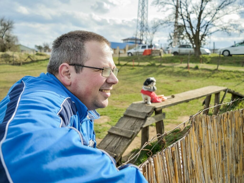 Glücklicher Hund im Freien schaut in die Kamera