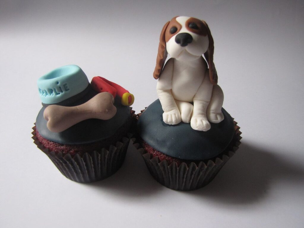 Cavalier King Charles Spaniel sitzt aufmerksam
