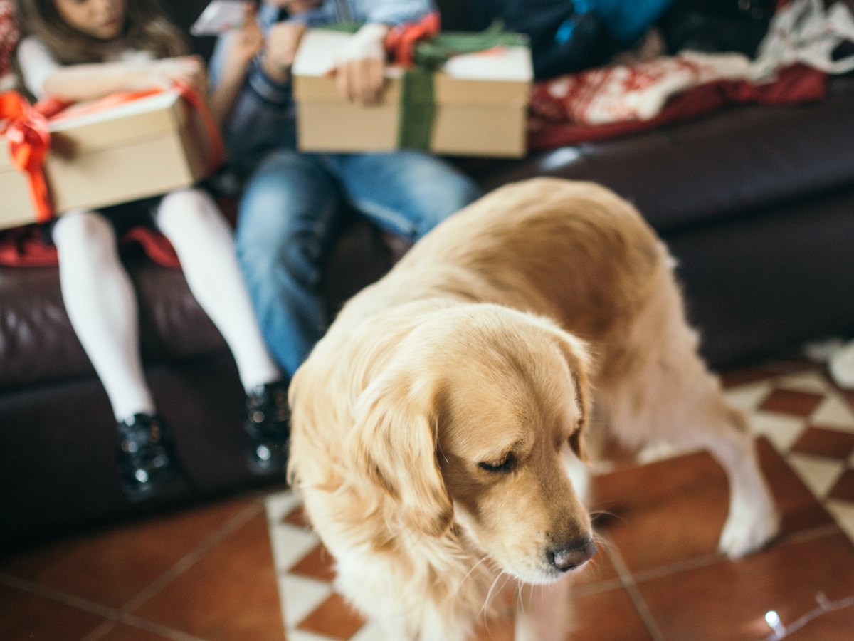 Kinder mit einem Familienhund im Wohnzimmer