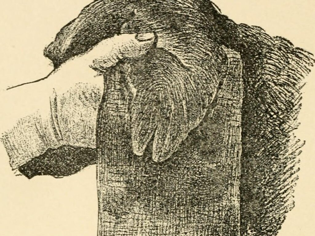 Diseases of the dog and their treatment (1911) (14761992856)