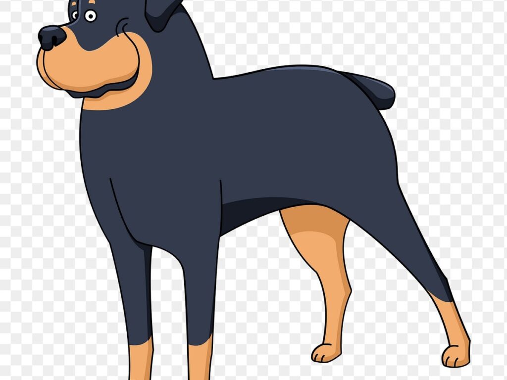 Rottweiler steht aufmerksam im Garten