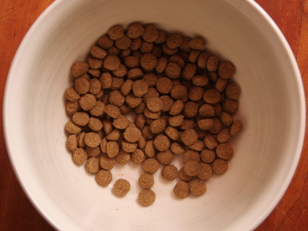 Napf mit Trockenfutter für Hunde